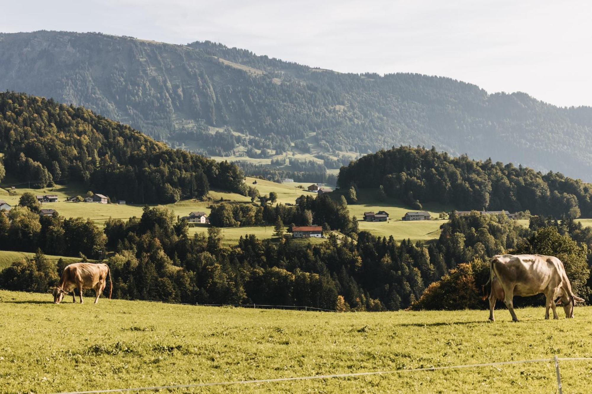 Hotel Gasthof Waelderhof Lingenau Eksteriør bilde