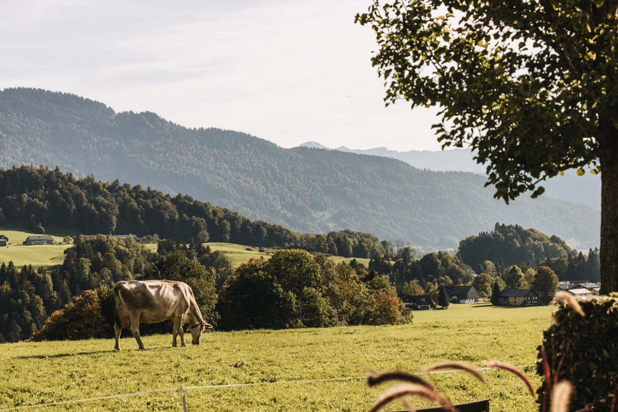 Hotel Gasthof Waelderhof Lingenau Eksteriør bilde